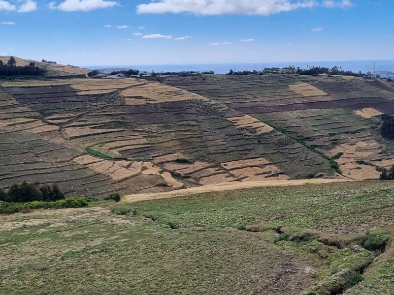 A steep slope split into many defined ridges and areas of agricultural land